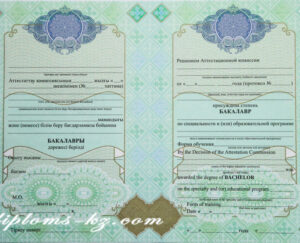 Какие возможности дает решение купить диплом института?