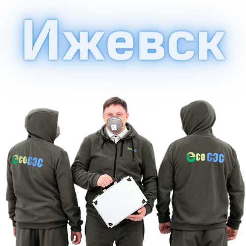 Профессиональное удаление плесени: почему стоит обратиться к специалистам?