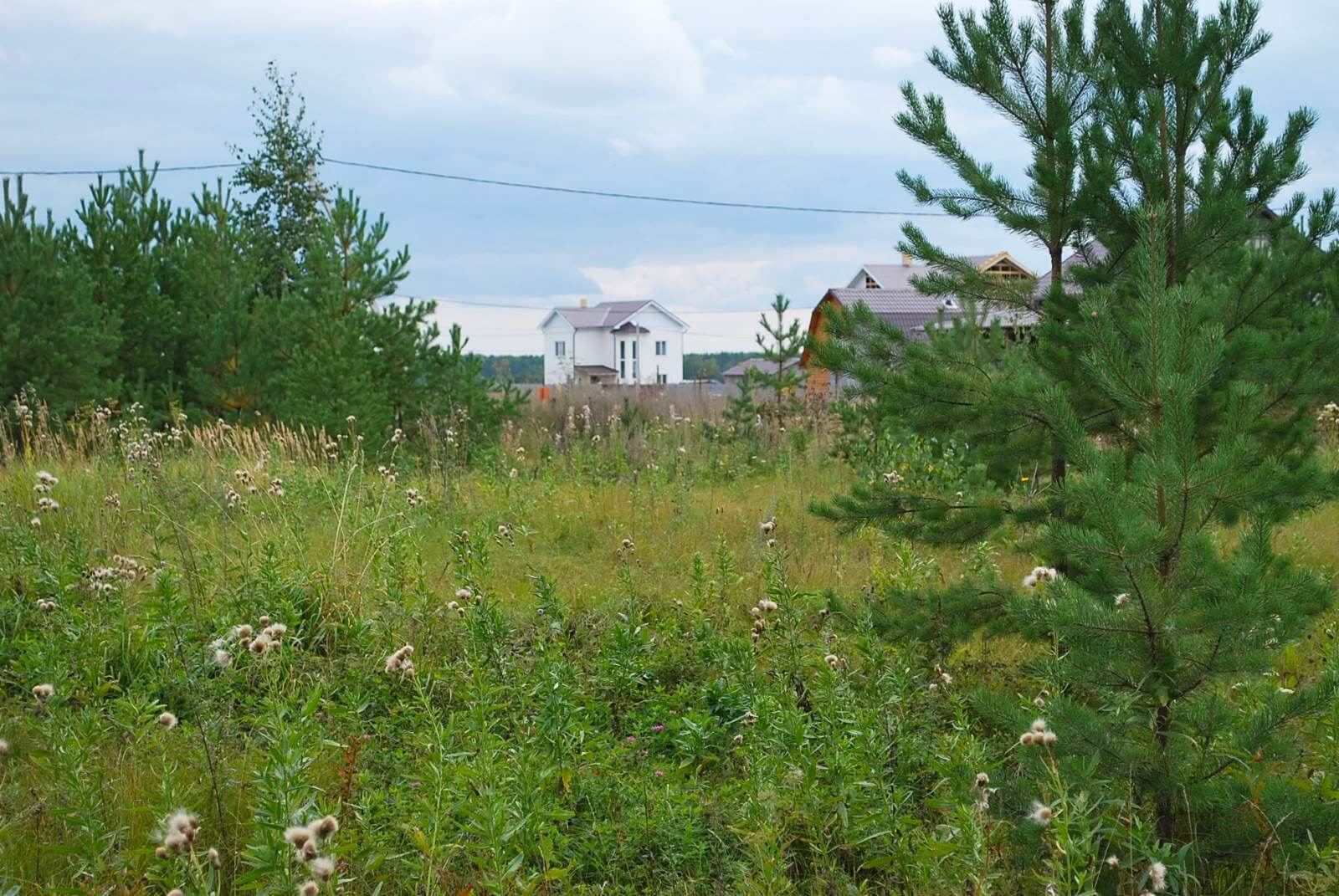 Почему стоит купить земельный участок в ДНП?