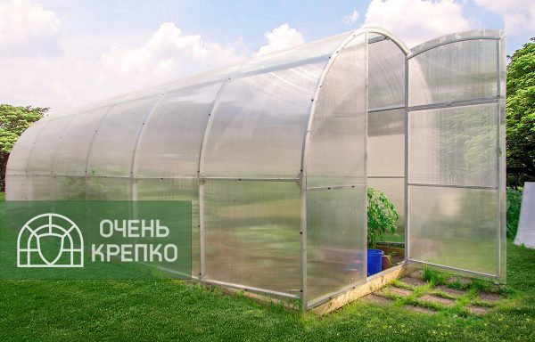 Арочные теплицы: особенности, преимущества и правила выбора