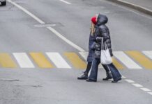 Юрист Редин: в России появится новый сигнал светофора в виде пешехода со стрелкой