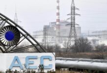 Карчаа: Россия располагает достаточным резервом кадров для замещения всех позиций на ЗАЭС