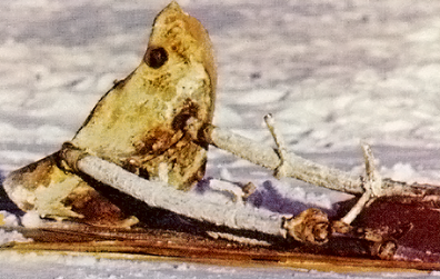 &laquo;Могут вернуться на орбиту&raquo;: каковы перспективы применения ядерных реакторов на военных спутниках