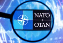 Неопределённый сценарий: почему в Финляндии допустили вступление страны в НАТО без Швеции