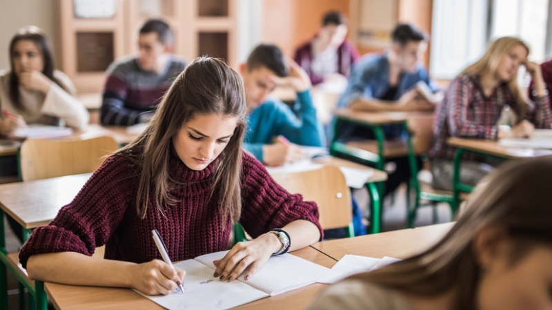 Российские студенты назвали Петра I и Путина самыми значимыми для истории страны личностями