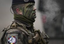 «С каждым днём всё более открыто демонстрирует своё присутствие»: Пушилин констатировал прямую конфронтацию НАТО с РФ