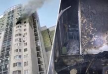 Трое погибших и дело об убийстве: что известно о пожаре на юго-западе Москвы