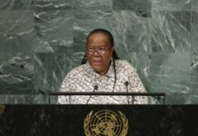 В МИД ЮАР заявили о желании страны выдвинуть свою кандидатуру в постоянные члены СБ ООН