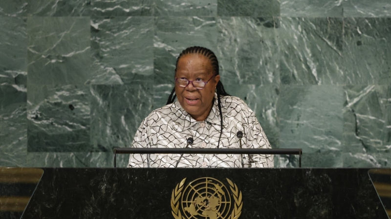 В МИД ЮАР заявили о желании страны выдвинуть свою кандидатуру в постоянные члены СБ ООН