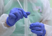 В России обнаружен первый случай инфицирования подвидом коронавируса «кракен»