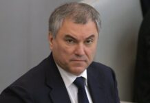 Володин: наказание для поддерживающих нацизм граждан надо дополнить конфискацией имущества