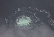 Американский журналист Херш: взрывчатку под «Северные потоки» заложили водолазы из США