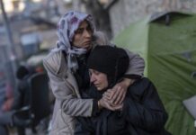 Число жертв землетрясений в Турции достигло 36 187