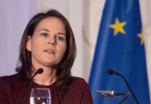 Глава МИД ФРГ призвала Россию изменить свою позицию на «360 градусов»