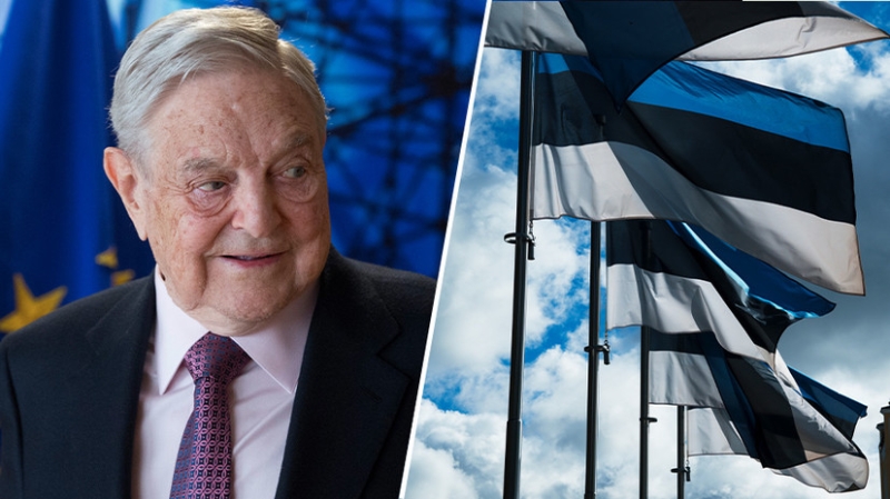 &laquo;Каинова печать&raquo; Сороса: что известно о нежелательном в России Фонде открытой Эстонии