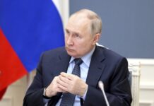 Путин поддержал идею Минцифры о цифровом удостоверении личности на смартфонах