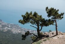 «Воинственный настрой»: как в РФ отреагировали на слова Нуланд о «легитимных» целях Украины в Крыму