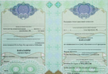 Какие возможности дает решение купить диплом института?