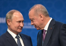 Эрдоган и Путин обсудили ситуацию на Украине и двусторонние отношения