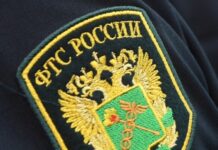 ФТС России частично возобновила публикацию данных статистики внешней торговли