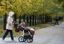 Голикова: почти 47 тысяч сертификатов на маткапитал выдали в новых регионах России