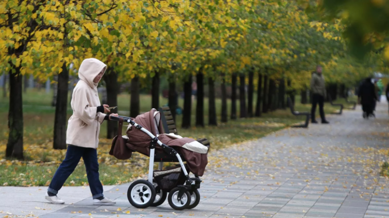 Голикова: почти 47 тысяч сертификатов на маткапитал выдали в новых регионах России
