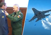 Орденами Мужества: Шойгу наградил лётчиков после инцидента с беспилотником США в небе над Чёрным морем