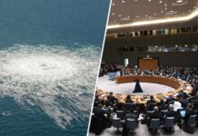 «Отвести от себя подозрения»: как Запад препятствует расследованию терактов на «Северных потоках»