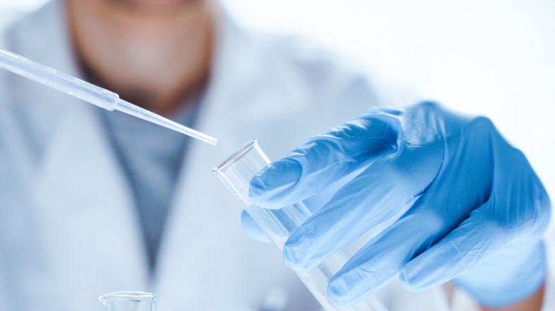 Роспотребнадзор предупредил россиян о рисках заражения вирусом Зика при поездках за рубеж