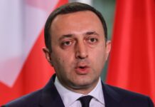 Власти Грузии пообещали не допустить «второго фронта» для Украины