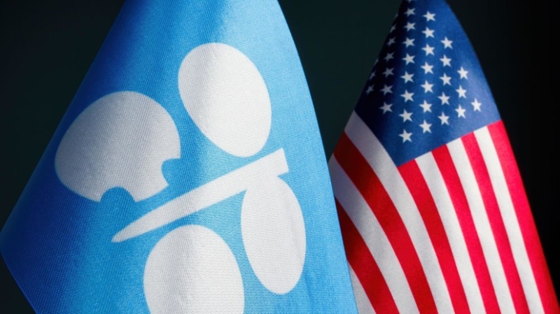 Белый дом: США работают над энергобезопасностью с учётом решения ОПЕК+