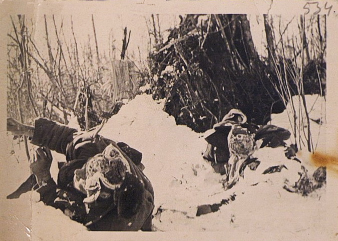 «Бесчеловечная жестокость»: Минобороны РФ публикует архивные документы об уничтожении людей в нацистских концлагерях