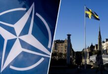 «Будут максимально продавливать»: в Пентагоне пообещали «приложить все усилия» для присоединения Швеции к НАТО до лета