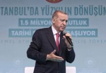 Эрдоган намерен провести переговоры с Путиным