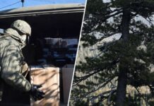 «Лучше делать, чем говорить»: мать двоих детей из Забайкальского края стала волонтёром в зоне СВО