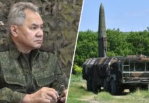 «Может использовать ракеты в ядерном исполнении»: Шойгу сообщил о передаче Белоруссии ОТРК «Искандер-М»
