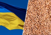 «Не в интересах европейских производителей»: Болгария присоединилась к запрету импорта украинского зерна