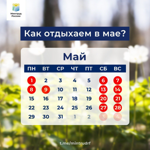 «Последний месяц весны богат на выходные»: в Минтруде напомнили о праздничных днях в начале мая