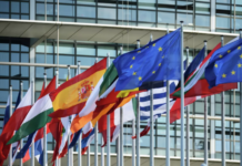 Посол России в Сербии: Совет Европы деградирует, превращаясь в марионетку стран Запада