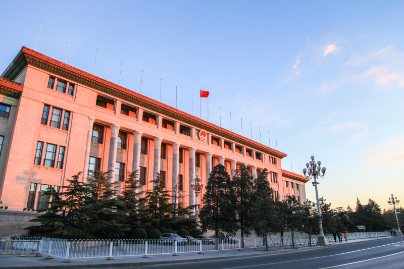 &laquo;Проблема не в недостатке планов&raquo;: в МИД России отреагировали на телефонный разговор Си Цзиньпина и Владимира Зеленского