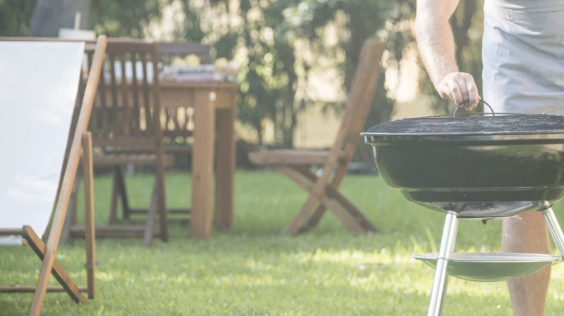 Россиянам посоветовали жарить шашлык из баранины и свинины на дровах из берёзы и липы