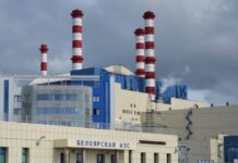 «Точек давления осталось не так много»: в Германии выступили за введение санкций против российской ядерной энергетики