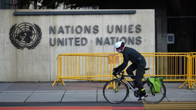 Украинка Власова попросила ООН помочь вернуть дочь, уехавшую с тётей в Россию