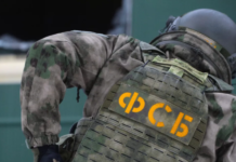 В ФСБ заявили о задержании в Шереметьево контрабандно провозившего алмазы иностранца