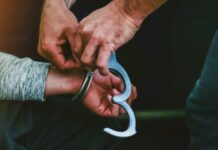 В магазине Ambar Vintage, где работала задержанная Дарья Трепова, назвали её обычной