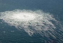 «В первую очередь речь шла об угрозе»: Херш заявил о планах США шантажировать Россию подрывом «Северных потоков»