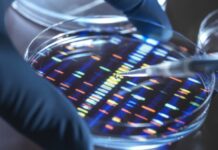 Врач Колесникова: вклад генетики в развитие алкогольной зависимости составляет до 65%