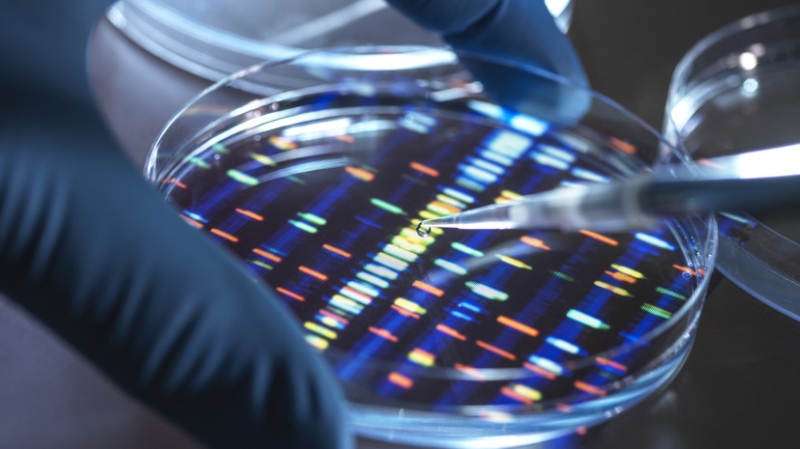 Врач Колесникова: вклад генетики в развитие алкогольной зависимости составляет до 65%