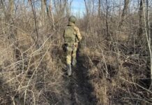 Врио главы ДНР Пушилин: российские войска успешно продолжают окружение Авдеевки