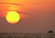 Жена российского капитана заявила о пропаже яхты с тремя людьми в Красном море